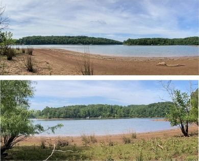 Great lot to build your dream home in Leesville Lake! Gentle lot - photo 1