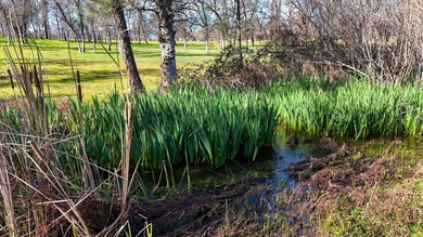 Lake Shasta Lot For Sale in Redding California