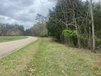 Great lot to build your dream home in Leesville Lake! Gentle lot - photo 2