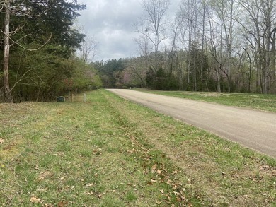 Great lot to build your dream home in Leesville Lake! Gentle lot - photo 3