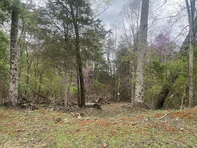 Great lot to build your dream home in Leesville Lake! Gentle lot - photo 6