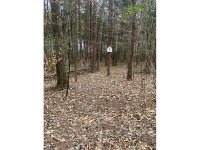 Great lot to build your dream home in Leesville Lake! Gentle lot - photo 7