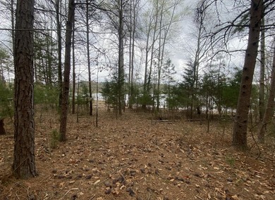 Great lot to build your dream home in Leesville Lake! Gentle lot - photo 8