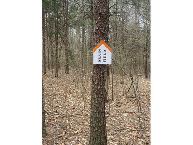 Great lot to build your dream home in Leesville Lake! Gentle lot - photo 9