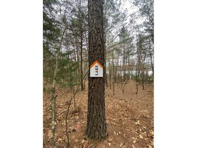 Great lot to build your dream home in Leesville Lake! Gentle lot - photo 10