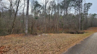 Pine Lake Acreage For Sale in Pine Mountain Georgia