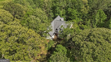 Experience the epitome of country living on this expansive 10+ - photo 44