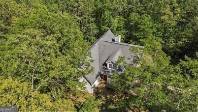Experience the epitome of country living on this expansive 10+ - photo 45