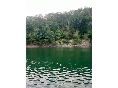 flat lot with 400 ft of deep year around water you can purchase - photo 5