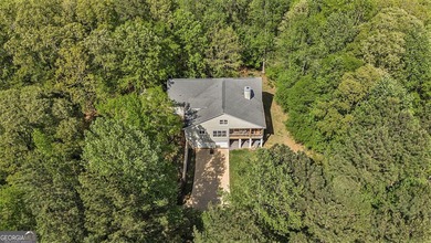 Experience the epitome of country living on this expansive 10+ - photo 46