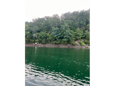 flat lot with 400 ft of deep year around water you can purchase - photo 6