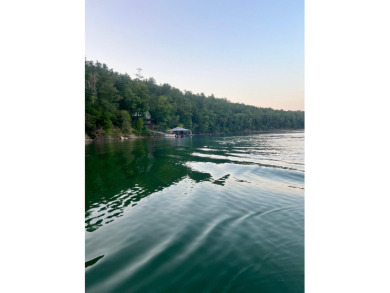 flat lot with 400 ft of deep year around water you can purchase - photo 8
