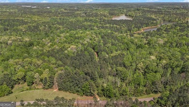 Experience the epitome of country living on this expansive 10+ - photo 50