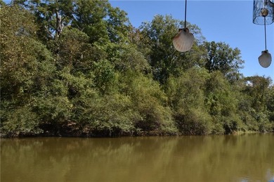 (private lake, pond, coastal) Lot For Sale in Pearl River Louisiana