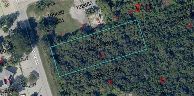 Beautiful .55 acre lot in Summerland Key, FL. Summerland Key is - photo 1