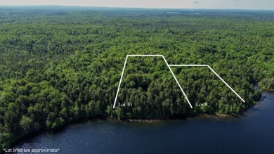 Lake Acreage For Sale in Cathance Twp, Maine