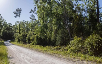 Suwannee River Lot For Sale in Live Oak Florida