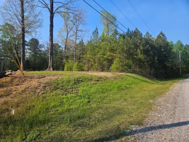 Beautiful lakefront property on the Clear Creek-Jasper side of - photo 2