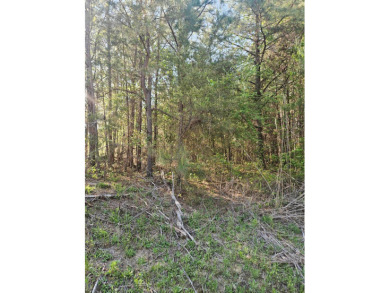 Beautiful lakefront property on the Clear Creek-Jasper side of - photo 3
