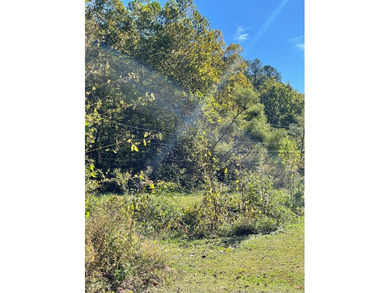 (private lake, pond, creek) Acreage For Sale in Salyersville Kentucky