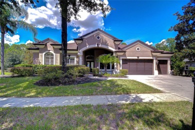 Lake Home For Sale in Land O Lakes, Florida
