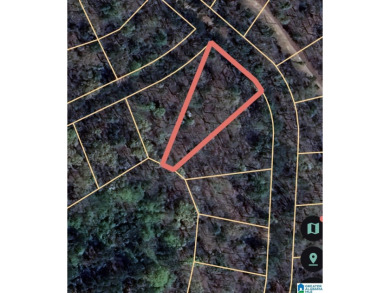 Logan Martin Lake Lot For Sale in Alpine Alabama