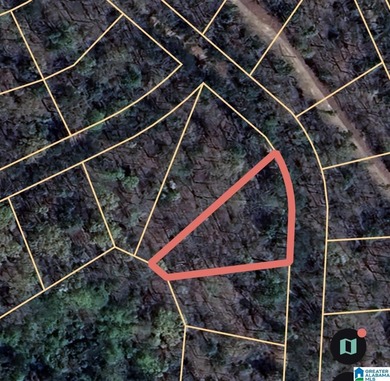 1.21-acre treed lot in the Point Aquarius subdivision of Alpine - photo 2