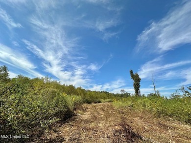 +/- 37 acres located in the Tuscolameta Creek bottom along the - photo 2