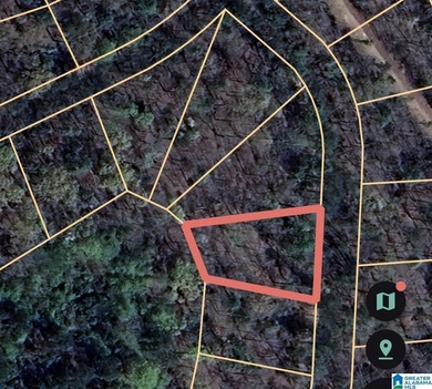 1.21-acre treed lot in the Point Aquarius subdivision of Alpine - photo 3