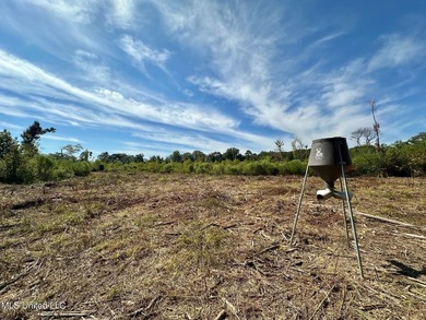 +/- 37 acres located in the Tuscolameta Creek bottom along the - photo 5