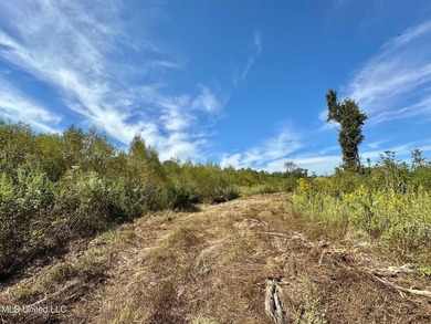 +/- 37 acres located in the Tuscolameta Creek bottom along the - photo 7