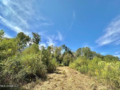 +/- 37 acres located in the Tuscolameta Creek bottom along the - photo 10