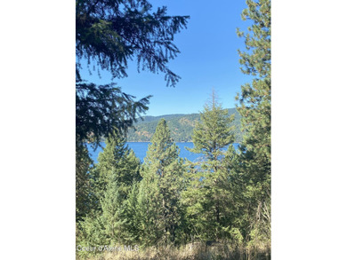 Coeur d Alene Lake Acreage For Sale in Coeur d Alene Idaho