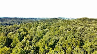 Lake Lanier Acreage For Sale in Dawsonville Georgia