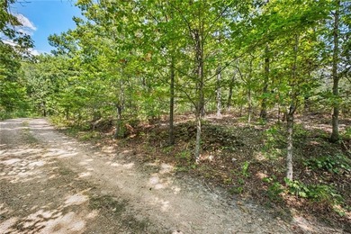 Lake Brittany Lot For Sale in Bella Vista Arkansas