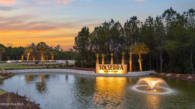 Welcome to the stunning Solserra community, where style and - photo 12