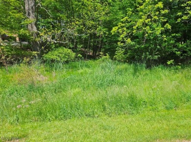 Lake Lot Sale Pending in Howard, Ohio