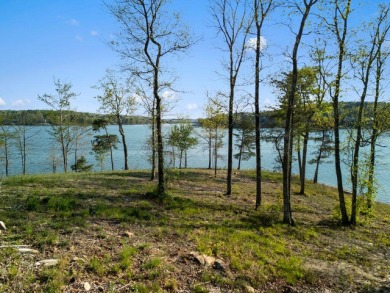 Lot 94 in Sipsey pines is on the main channel and one of few - photo 1