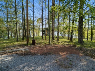 Lot 94 in Sipsey pines is on the main channel and one of few - photo 2