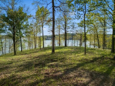 Lot 94 in Sipsey pines is on the main channel and one of few - photo 3