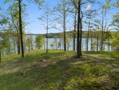 Lot 94 in Sipsey pines is on the main channel and one of few - photo 4
