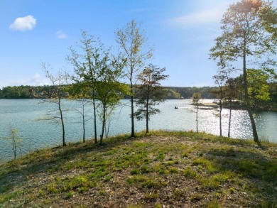 Lot 94 in Sipsey pines is on the main channel and one of few - photo 7