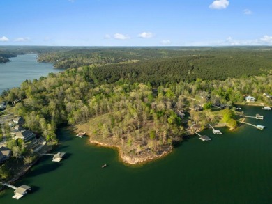 Lot 94 in Sipsey pines is on the main channel and one of few - photo 8