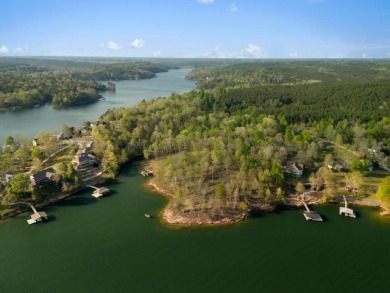 Lot 94 in Sipsey pines is on the main channel and one of few - photo 9