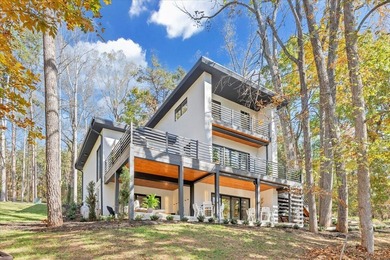 Don't miss this custom-designed, fully furnished residence - photo 1