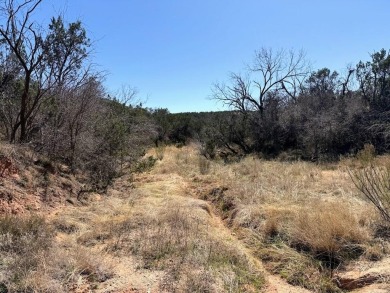 Lake Acreage For Sale in Robert Lee, Texas