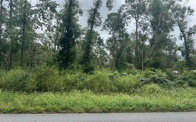 Suwannee River Lot For Sale in Live Oak Florida