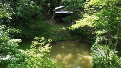 Escape to the serenity of the mountains with this charming cabin - photo 1