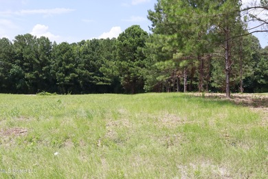 Spring Lake - Rankin County Commercial For Sale in Pearl Mississippi