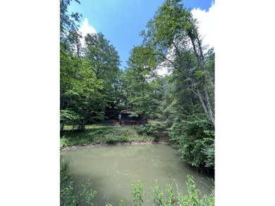 Escape to the serenity of the mountains with this charming cabin - photo 2